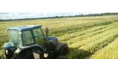 Produtores rurais têm até hoje para aderir ao parcelamento de dívidas