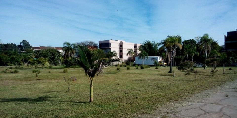 Praça da Legalidade recebe poda e corte de grama