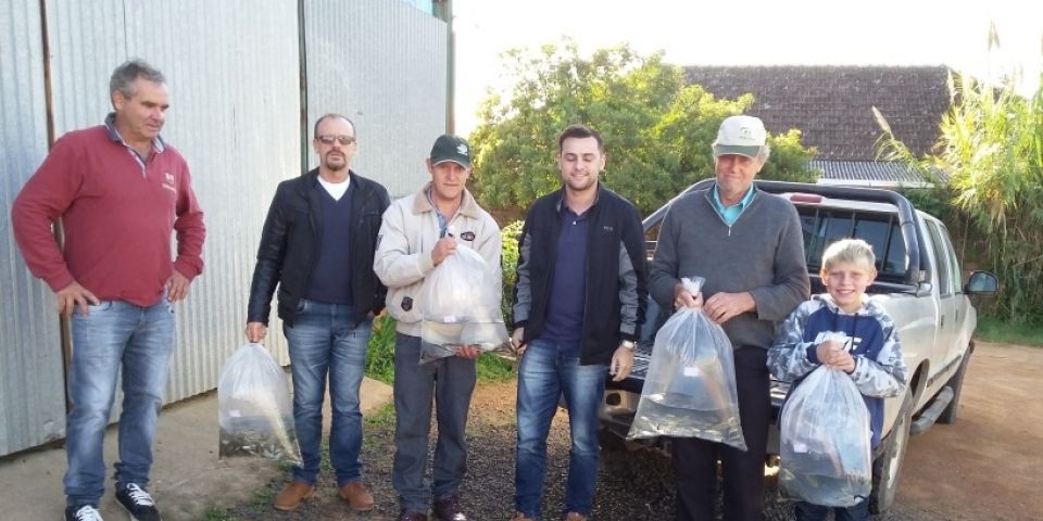 Agricultura realiza entrega de alevinos para os piscicultores de Camaquã