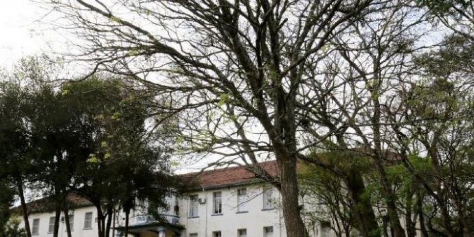 Casos de toxoplasmose crescem mais 30% e chegam a 352 em Santa Maria