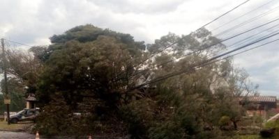 Temporal deixa mais de 112 mil sem luz no Rio Grande do Sul