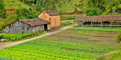 Camaquã e outras 42 cidades do RS são contempladas com o programa de recuperação do solo