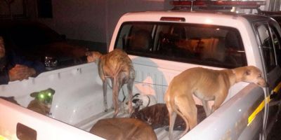 Ocorrências atendidas pelo 6º BPM em Rio Grande (25.08.2014)