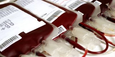 Projeto de Lei Legislativa sobre doação de sangue recebe parecer favorável