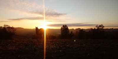 Sol predomina neste domingo no Rio Grande do Sul