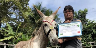 Jumento está entre os premiados como "prefeito nota 10 do Brasil"