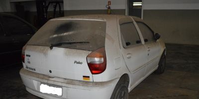 Leilão realizado pela Receita Federal em Pelotas arrecada R$ 1 milhão