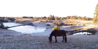 Rio Grande do Sul registra temperaturas negativas em 27 cidades