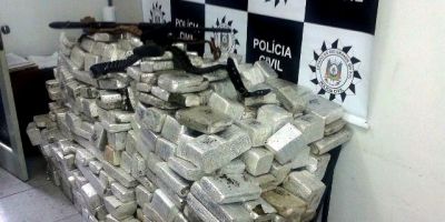 Capão do Leão - Polícia Civil apreende quase meia tonelada de maconha na zona rural