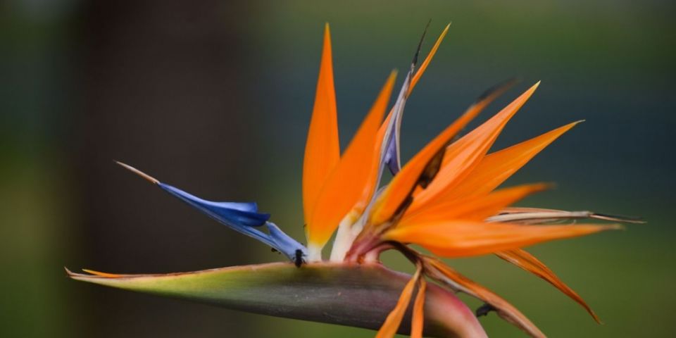 Primavera começa hoje com possibilidade de novo episódio do El Niño