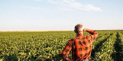 Prazo para produtor rural declarar ITR termina hoje