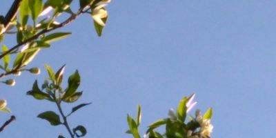 Rio Grande do Sul repete tempo bom e ensolarado nesta terça