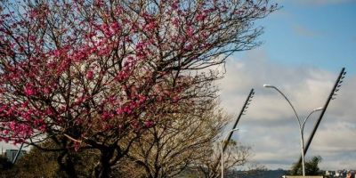 Feriado de finados terá sol e tempo agradável no RS