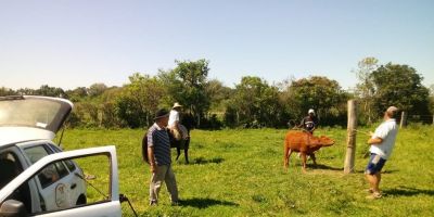 Secretaria da Agricultura realiza campanha de vacinação em Camaquã
