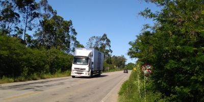 FOTOS: vegetação encobre placas de sinalização na ERS-350, trecho Camaquã/Arambaré