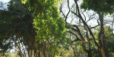 Feriado terá predomínio de sol no Rio Grande do Sul