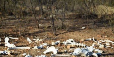 Brasil sobe dez posições em ranking de países com maior risco climático