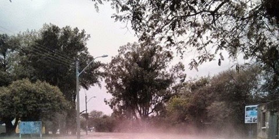 São Lourenço do Sul - Defesa Civil trabalha para amenizar os danos causados pela chuva de granizo