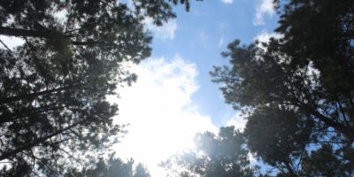 Domingo terá sol, calor e chuva de verão no Rio Grande do Sul