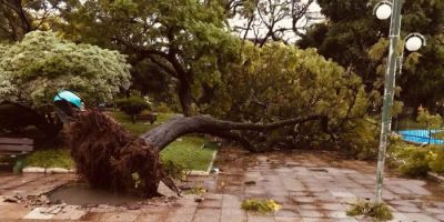 Temporal causa estragos na Fronteira Oeste