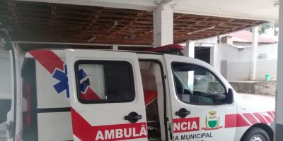  Homem sofre ataque de enxame de abelhas em Camaquã