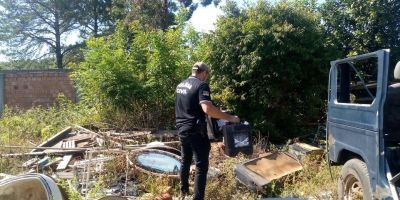 Delegacia do Meio Ambiente prende homem por crime ambiental na Operação Desmanche em Guaíba