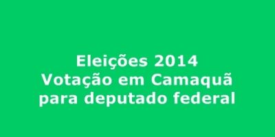 Saiba como foi a votação em Camaquã para os candidatos a deputado federal