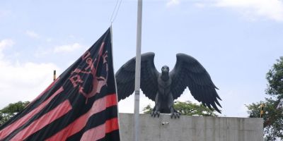Força-Tarefa prepara medidas para Ninho do Urubu