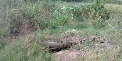 Acúmulo de lixo em terreno prolifera insetos no bairro Olaria, em Camaquã