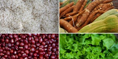 Programa Aquisição de Alimentos é adequado para ampliar recursos para Camaquã e mais 13 municípios gaúchos
