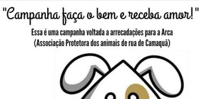Grupo de estudantes promove campanha para arrecadar doações para Arca em Camaquã