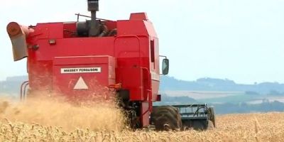 Possibilidade de redução de tarifas de importação do trigo preocupa produtores no RS