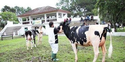 Cabanha Vô Walter de Cristal segue obtendo ótimos resultados em sua genética