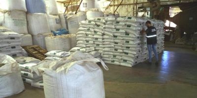 Sementes sem procedência deixam campo em alerta