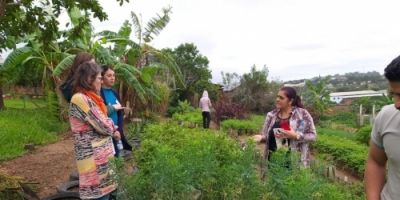 Cultivo de plantas medicinais em Camaquã recebe visita do município de Canoas