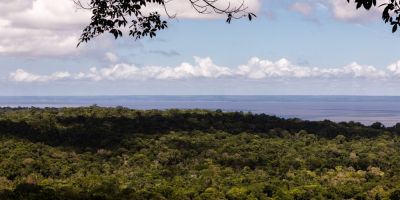 Áreas da Amazônia que deveriam ter 'desmatamento zero' perdem 6 cidades de SP em três décadas