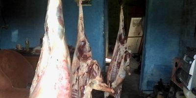 Ocorrências atendidas pelo 6º BPM em Rio Grande e Santa Vitória do Palmar (28 e 29.10.2014)