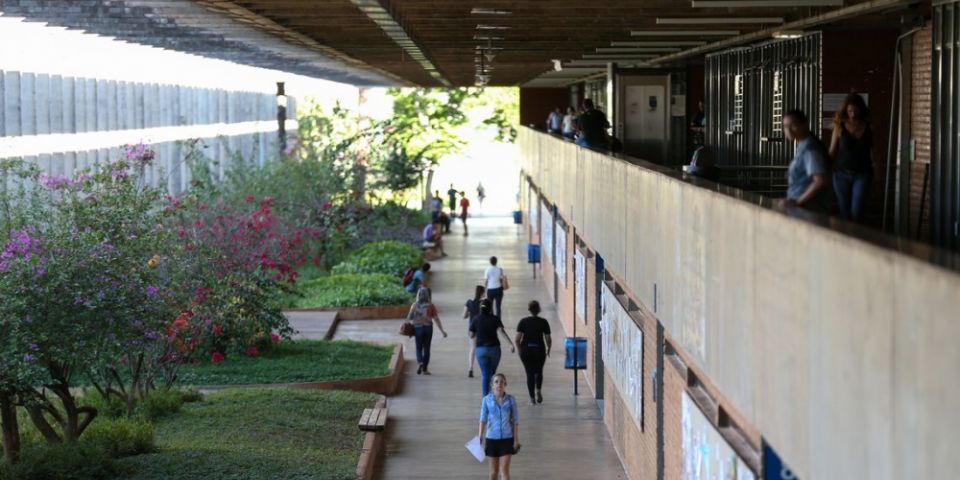 ProUni ofertará 169,2 mil bolsas de estudo; inscrições começam nesta terça-feira