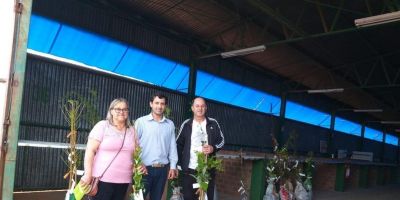 Agricultores recebem mudas de árvores frutíferas em Camaquã