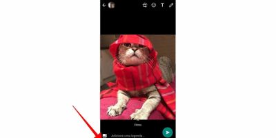 WhatsApp Beta para Android avisa quem é destinatário da imagem enviada