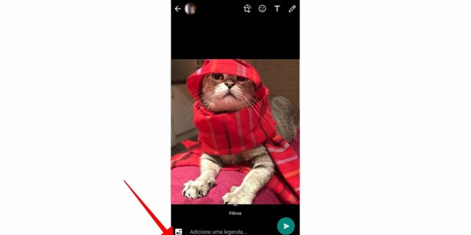 WhatsApp Beta para Android avisa quem é destinatário da imagem enviada
