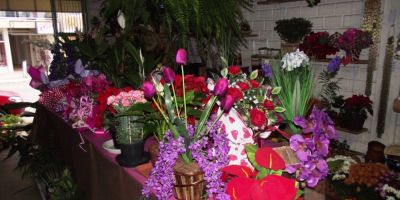 Publicidade: Floricultura Fiori Belli. Temos também serviço de tele-entrega. Ligue (51) 3671 1033