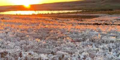 Cidades do RS registram temperaturas negativas e geada