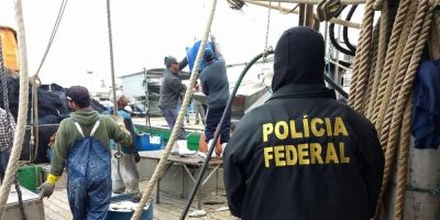 Polícia Federal apreende 150 toneladas de peixe em Rio Grande