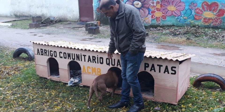 Associação constrói casa para cachorros de rua em Pelotas