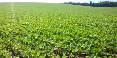 SMAA de Camaquã convoca agricultores para receberem instruções sobre coleta de amostras de solos