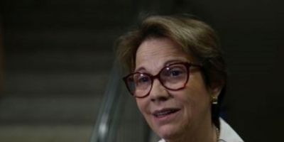 Tereza Cristina diz que liberação de agrotóxicos não traz riscos a saúde