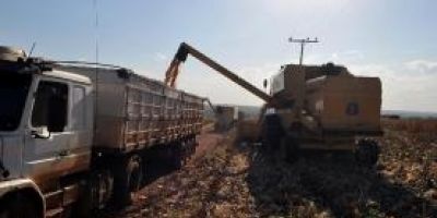 Moratória da soja é renovada até maio de 2016