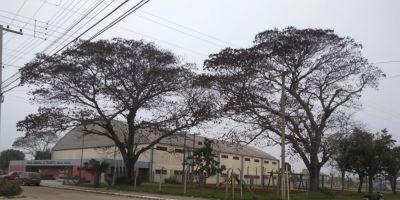 Mais uma vez hidrômetro do Ginásio Municipal de Esportes de Camaquã é furtado