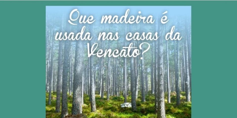 Vencato Casas: que madeira é usada nas casas da Vencato?